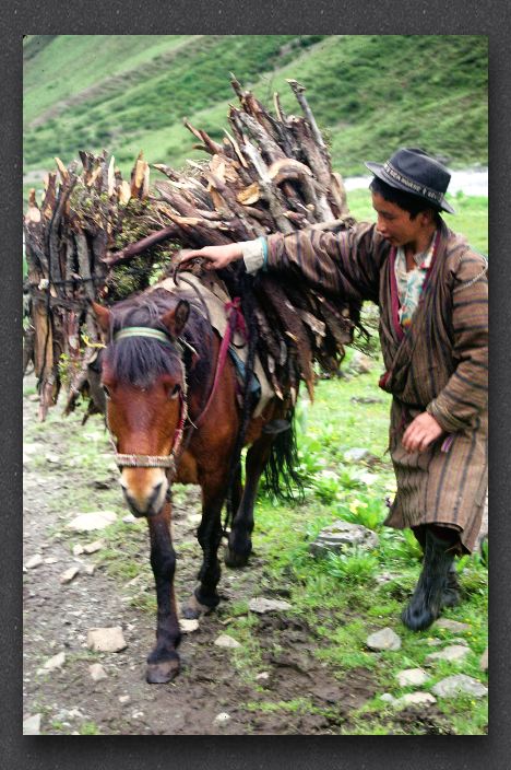 050 Yak herder nomads