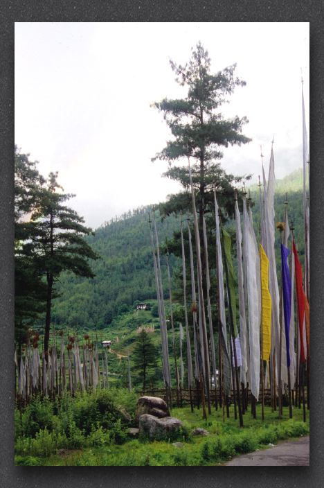 072 Thimpu prayer flags