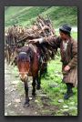 050 Yak herder nomads