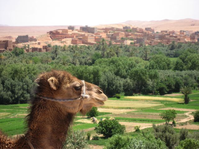 001Morocco May 2008