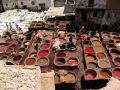 081tannery_2